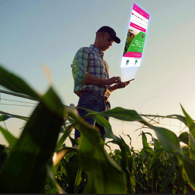 Agricultor acessando o aplicativo Minha Lavoro.