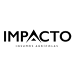 Logo Impacto.