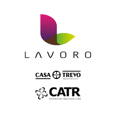 Logo Lavoro casa trevo e Catr